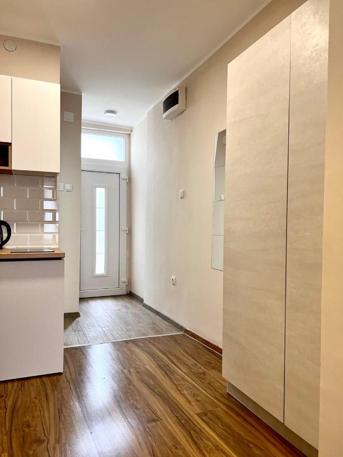 Old Gold Downtown Belgrade Apartment ภายนอก รูปภาพ